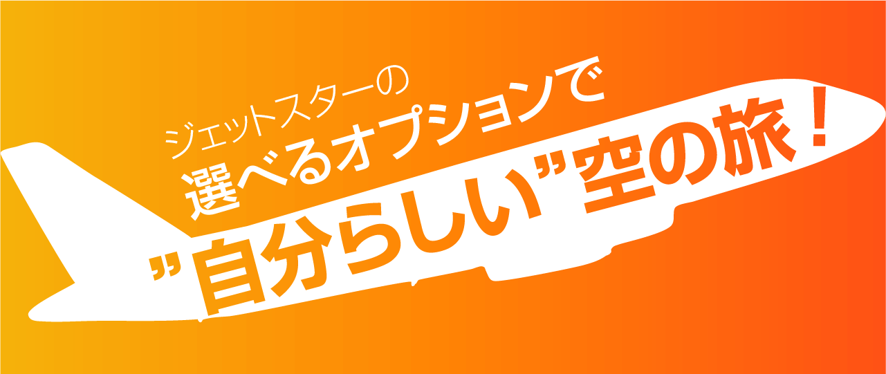 お値下げ！　一点限定　ジェットスター　シルバーバッグ（本革）